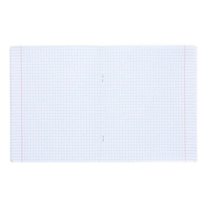 Тетрадь 48 листов в клетку Тетрадь 48 листов в клетку "Реально крутой Капибара", обложка мелованный картон, блок 65 г/м2, 5В МИКС