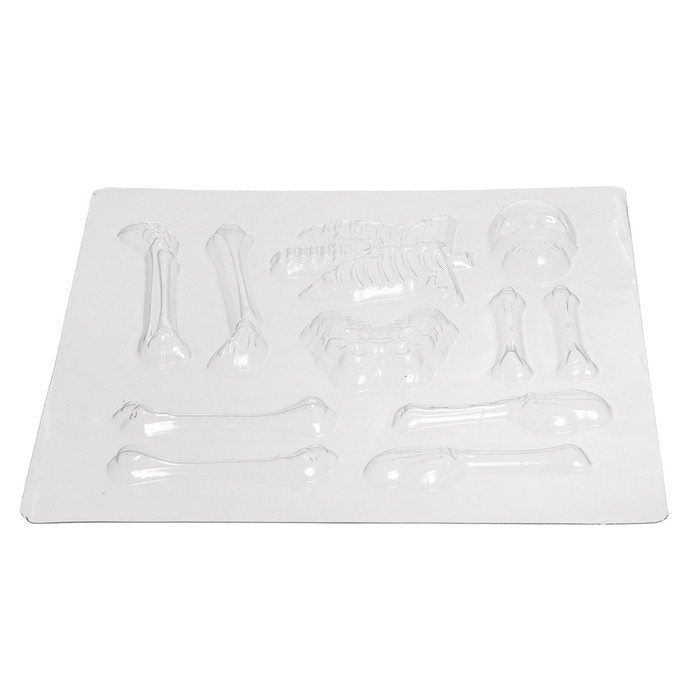 Набор для опытов &laquo;Мир внутри меня&raquo;