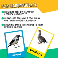 Развивающий набор «Перелётные и зимующие птицы» Развивающий набор «Перелётные и зимующие птицы»