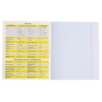 Тетрадь предметная ФИЗИКА, 48 листов в клетку, ErichKrause Be Informed, пластиковая обложка, шелкография, блок офсет 100% белизна, инфо-блок Тетрадь предметная ФИЗИКА, 48 листов в клетку, ErichKrause Be Informed, пластиковая обложка, шелкография, блок офсет 100% белизна, инфо-блок