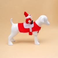 Новый год. Костюм "Новогодний мороз", размер M (ДС 34, ОГ 43, ОШ 20 см, вес 5-10 кг) Новый год. Костюм "Новогодний мороз", размер M (ДС 34, ОГ 43, ОШ 20 см, вес 5-10 кг)