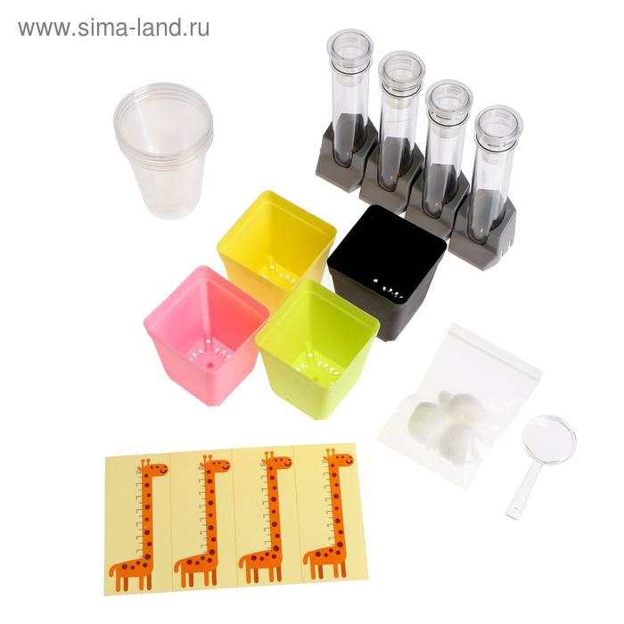 Набор для опытов «Наука о растениях», 16 опытов Набор для опытов «Наука о растениях», 16 опытов