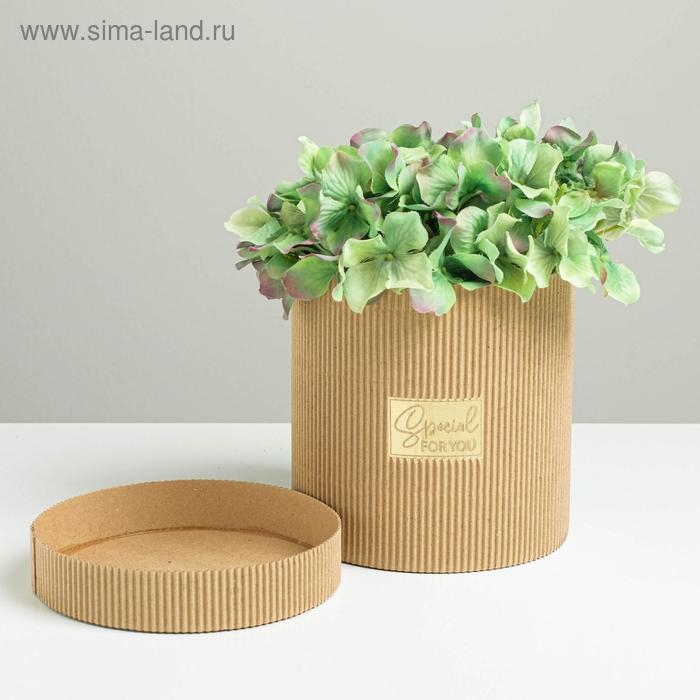 Коробка подарочная шляпная из микрогофры, упаковка, «Special for you», 15 х 15 см Коробка подарочная шляпная из микрогофры, упаковка, «Special for you», 15 х 15 см