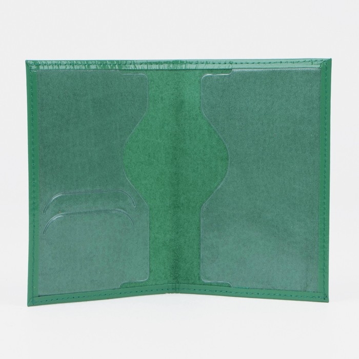 Обложка для паспорта, цвет зелёный