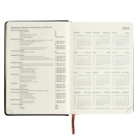 Ежедневник датированный 2024 A5 176 листов, deVENTE.Wild, твёрдая обложка из искусственной кожи, золотой срез, ляссе, кремовый блок 70 г/м2, тёмно-коричневый