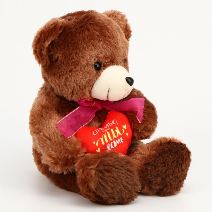 Мягкая игрушка &laquo;Спасибо, что ты есть&raquo;, 22 см., МИКС