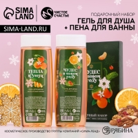 Подарочный набор косметики &laquo;Сказочного Нового Года&raquo;, гель для душа и пена для ванны, 2 х 250 мл, ЧИСТОЕ СЧАСТЬЕ