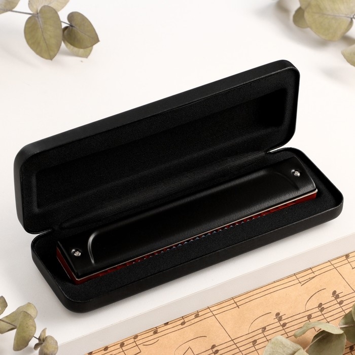 Губная гармошка Music Life T22K тремоло, с футляром