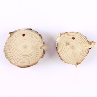 Новогодний набор для творчества. Ёлочные деревянные подвески под раскраску «Новый год! Мишка и снегирь» Новогодний набор для творчества. Ёлочные деревянные подвески под раскраску «Новый год! Мишка и снегирь»