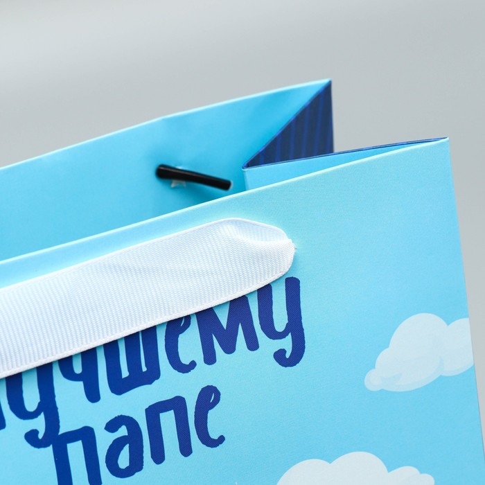 Пакет подарочный ламинированный вертикальный, упаковка, &laquo;Лучшему папе&raquo;, MS 18 х 23 х 10 см