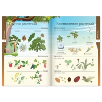 Набор книжек-шпаргалок &laquo;Мир природы и человека&raquo;, 6 шт.