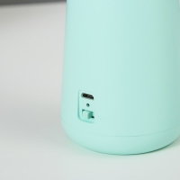 Лампа настольная "Страйк" LED 3 режима 1,5Вт USB зеленый 6,8х6,8х28,5 см RISALUX Лампа настольная "Страйк" LED 3 режима 1,5Вт USB зеленый 6,8х6,8х28,5 см RISALUX