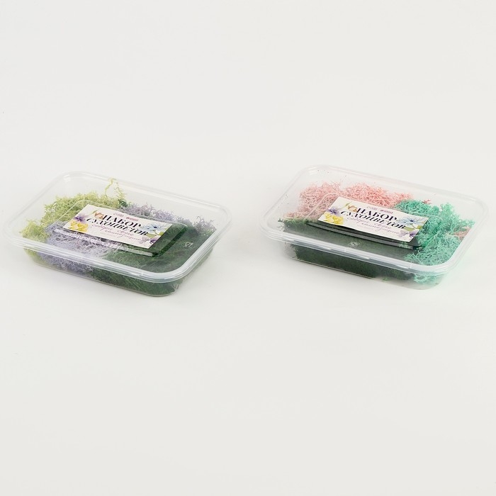 Набор сухоцветов &laquo;Мох&raquo;, цвет МИКС