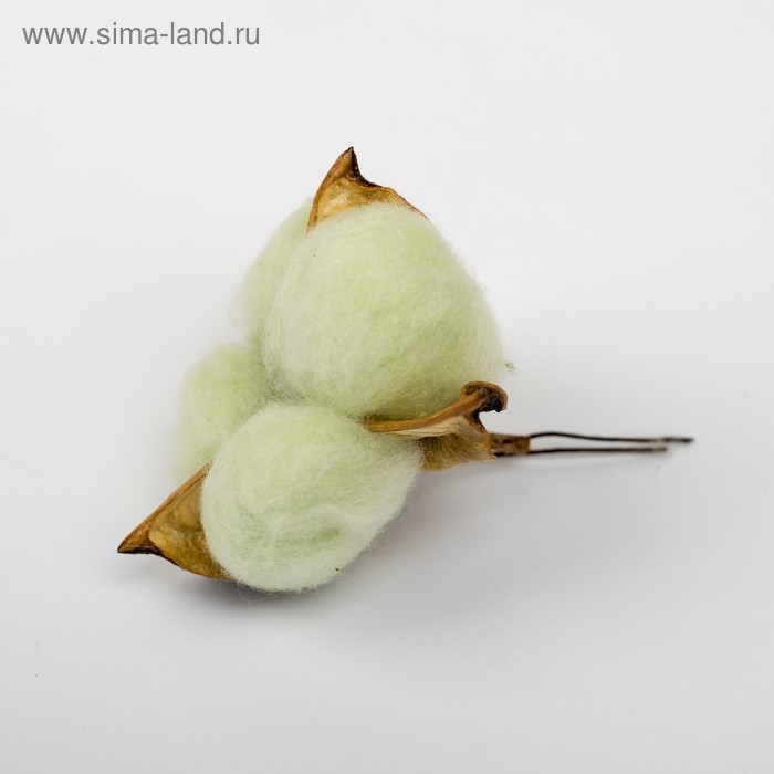 Сухие цветы хлопка, набор 3 шт., размер 1 шт. 6 &times; 6 см, цвет зелёный