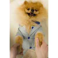 Комбинезон зимний для животных, флис, L (ДС 28-30 см, ОГ 40-44 см, ОШ 32 см), серый