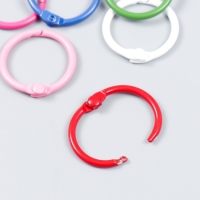 Кольцо для творчества (для фотоальбомов) "Цвет" МИКС внутр. d= 2 см внешн. d=2,4 см набор 8 шт 91494 Кольцо для творчества (для фотоальбомов) "Цвет" МИКС внутр. d= 2 см внешн. d=2,4 см набор 8 шт 91494