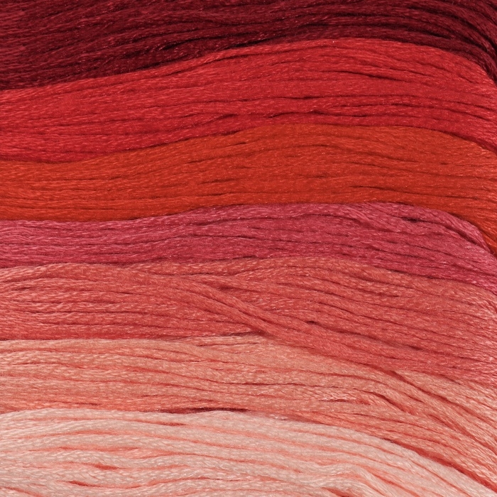 Набор ниток мулине, 8 &plusmn; 1 м, 7 шт, цвет красный спектр