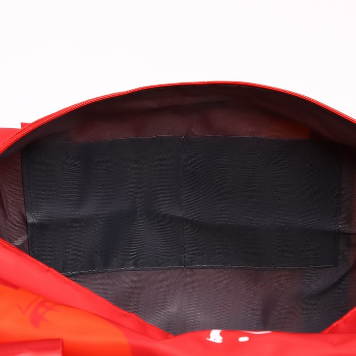 Сумка спортивная &laquo;RUSSIAN HOKEY&raquo;, 47 x 28 x 24 см, цвет красный