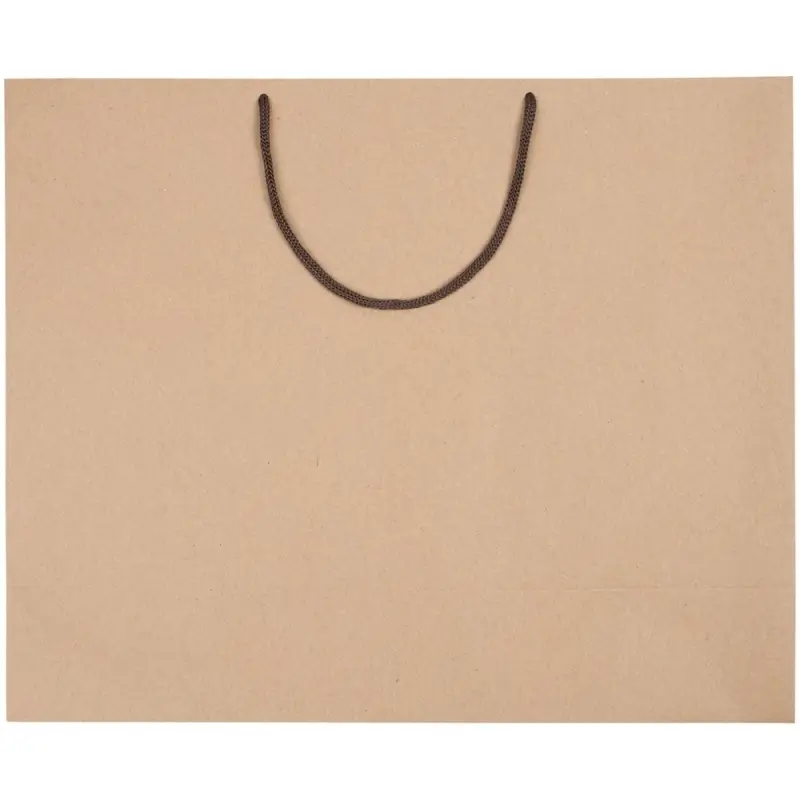 Пакет бумажный «Крафт», L, неокрашенный Пакет бумажный «Крафт», L, неокрашенный