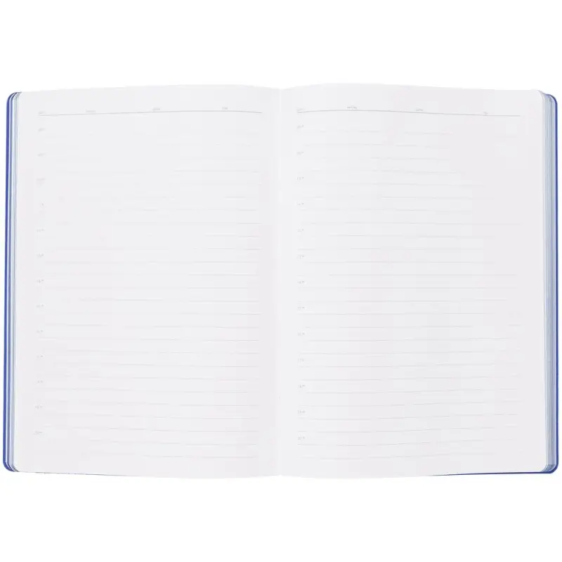 Ежедневник Flexpen, недатированный, серебристо-синий Ежедневник Flexpen, недатированный, серебристо-синий