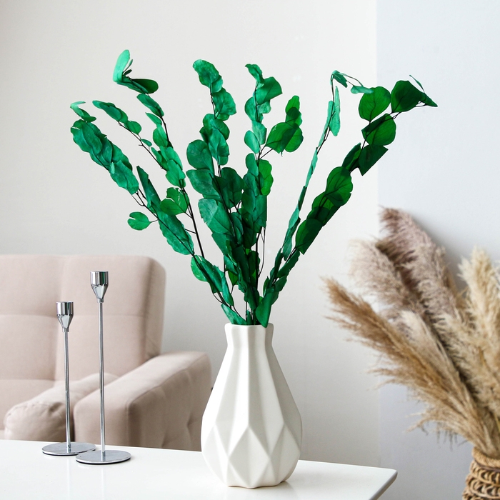 Сухоцвет персикого дерева, 50 г, длина &mdash; 70 см, цвет светло-зелёный