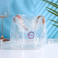 Ведёрко для льда Доляна, 1,3 л, 13×13×13 см, цвет прозрачный Ведёрко для льда Доляна, 1,3 л, 13×13×13 см, цвет прозрачный