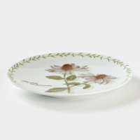 Тарелка фарфоровая &laquo;Ботаника&raquo;, d=20 см
