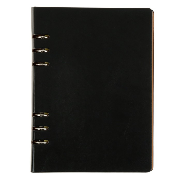 Органайзер на кольцах Органайзер на кольцах "Престиж" А5, 92 листа в линейку, обложка кожзам, МИКС