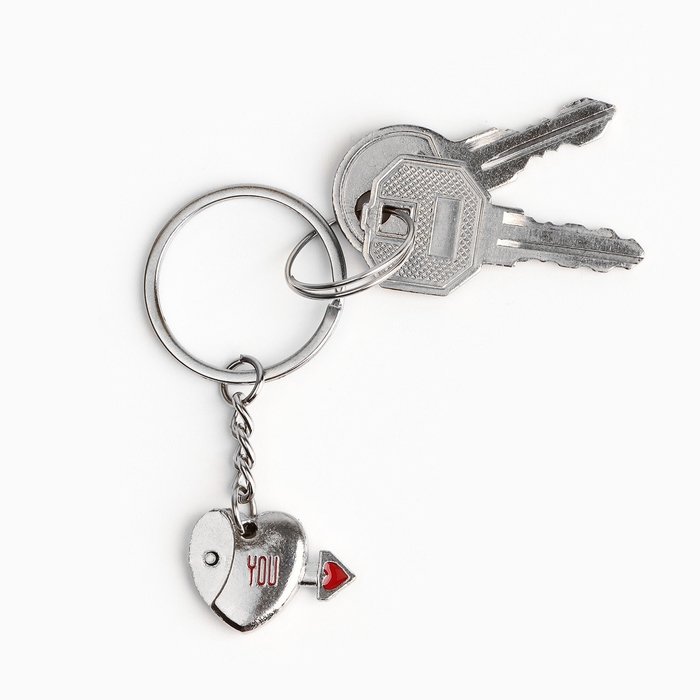 Брелок для ключей парный, &laquo;Дружба навеки&raquo;, металл, 9 х 14 см