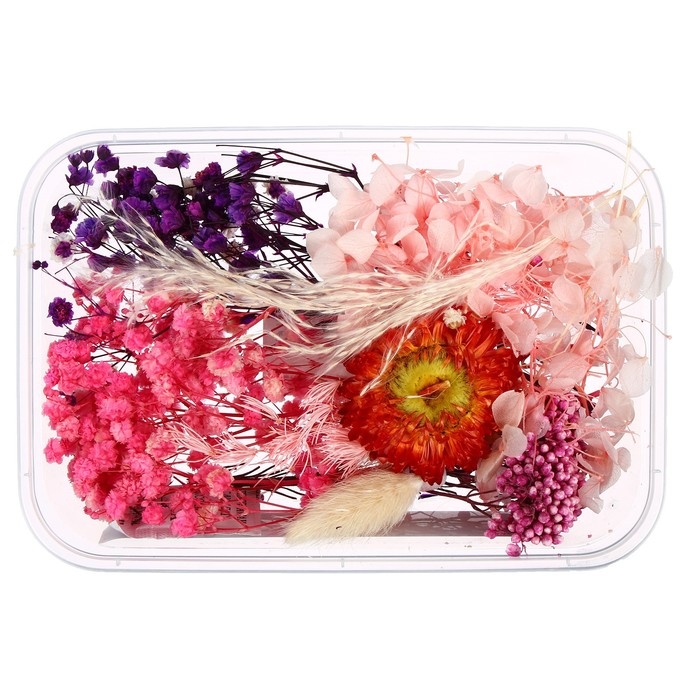 Набор для творчества &laquo;Набор сухоцветов&raquo;, большой, розовый, красный, фиолетовый