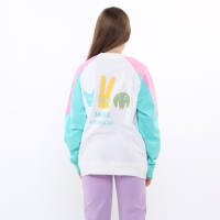 Свитшот для девочки, цвет розовый, рост 152-158 см Свитшот для девочки, цвет розовый, рост 152-158 см