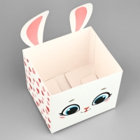 Коробки для мини букетов &laquo;Зайка&raquo;, 12 &times; 20 &times; 10 см