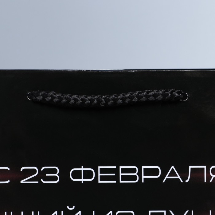 Пакет подарочный ламинированный вертикальный, упаковка, &laquo;С 23 февраля!&raquo;, ML 21 х 25 х 8 см