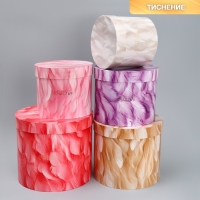 Набор шляпных коробок 5 в 1, упаковка подарочная, &laquo;Перья&raquo;, 13 х 14 ‒ 19.5 х 22 см