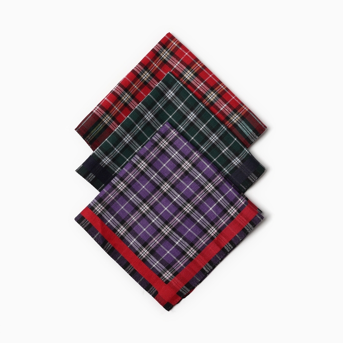 Набор мужских носовых платков в коробке ЭТНИКА, Арт.Пд71-8, 28х28, 3шт, х/б