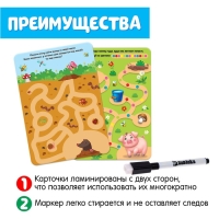 Набор пиши-стирай &laquo;Лабиринты&raquo;, 20 заданий, 3+