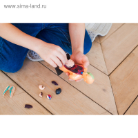 Набор для опытов «Анатомия человека» Набор для опытов «Анатомия человека»