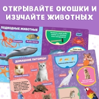Книжка картонная с окошками &laquo;Животные&raquo;, 10 стр.