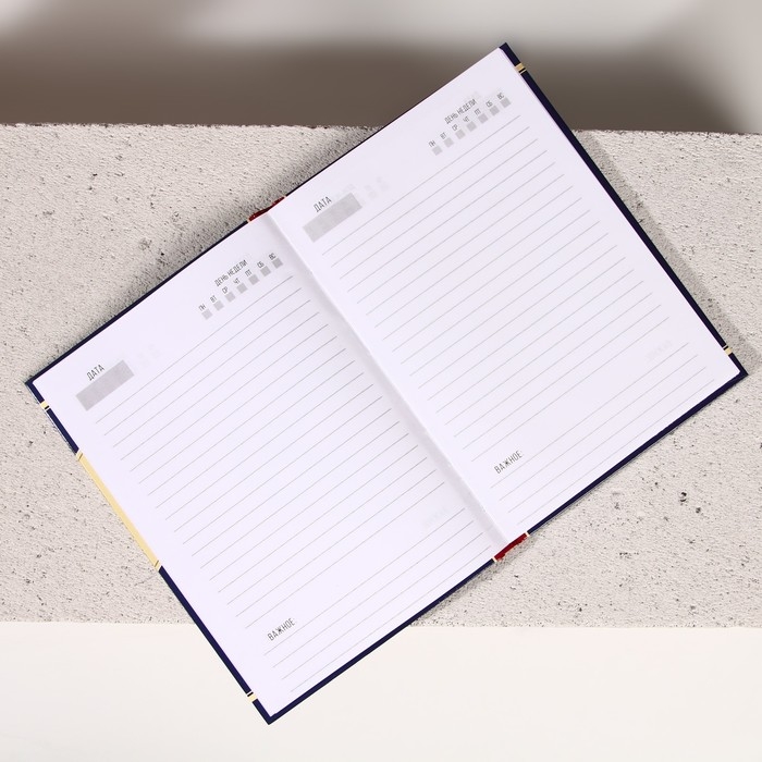 Новогодний подарочный набор косметики &laquo;Богатства и процветания&raquo;, гель для душа во флаконе виски 250 мл и ежедневник, Новый Год