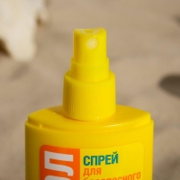 Спрей для безопасного загара Пантенол, для всей семьи SPF-55+, 95 мл Спрей для безопасного загара Пантенол, для всей семьи SPF-55+, 95 мл