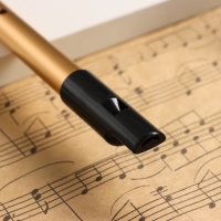 Флейта Music Life Е, золотая Флейта Music Life Е, золотая