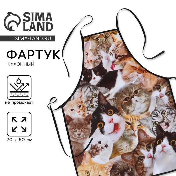 Фартук кухонный &laquo;Коты&raquo;, полноцветный
