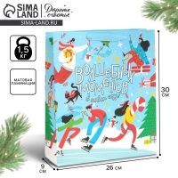 Пакет подарочный новогодний ламинированный &laquo;Зимний каток&raquo;, M 26 х 30 х 9 см, Новый год