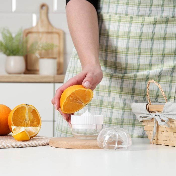 Соковыжималка для цитрусовых с лотком и крышкой Доляна, d=7,5 см, 7&times;7&times;8 см, цвет МИКС