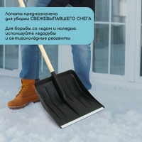 Лопата для уборки снега, пластиковый ковш 410 &times; 440 мм, оцинкованная планка, деревянный черенок, &laquo;Метель&raquo;