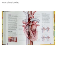 Большая энциклопедия школьника &laquo;Как это работает?&raquo;