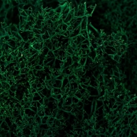 Мох стабилизированный "Трава" 45 гр (+-5 гр) Мох стабилизированный "Трава" 45 гр (+-5 гр)