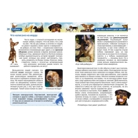 Детская энциклопедия «Собаки» Детская энциклопедия «Собаки»