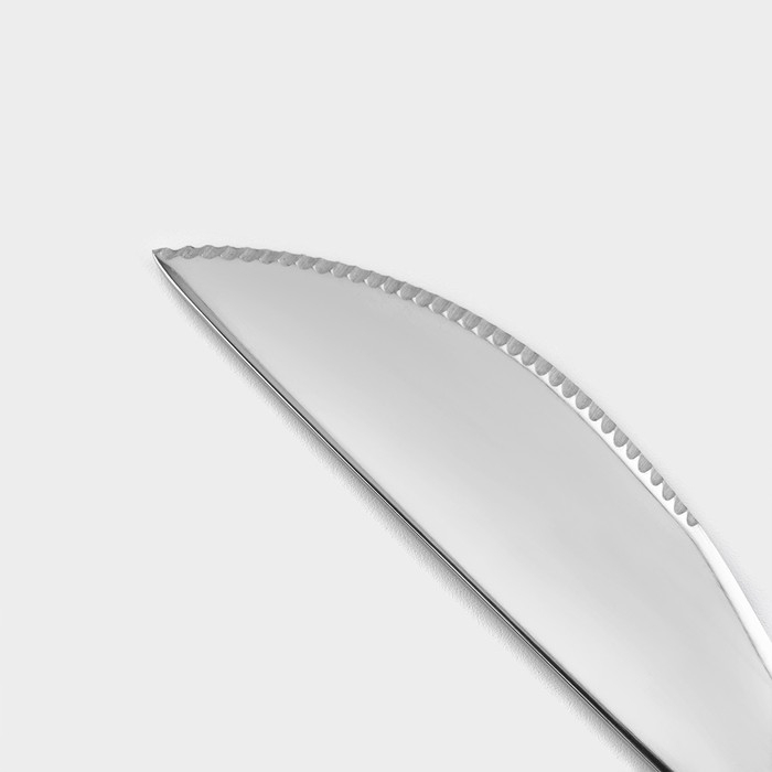 Столовые приборы из нержавеющей стали Magistro &laquo;Блинк&raquo;, 4 предмета, цвет серебряный