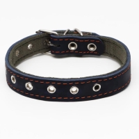 Ошейник комбинированный кожа/брезент, безразмерный, 54 х 2.5 см, ОШ 17-45 см, синий Ошейник комбинированный кожа/брезент, безразмерный, 54 х 2.5 см, ОШ 17-45 см, синий